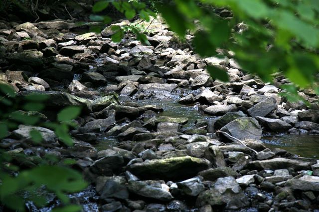 Creek 