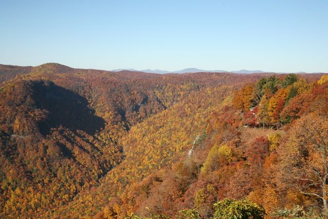 Overlook into the forest below