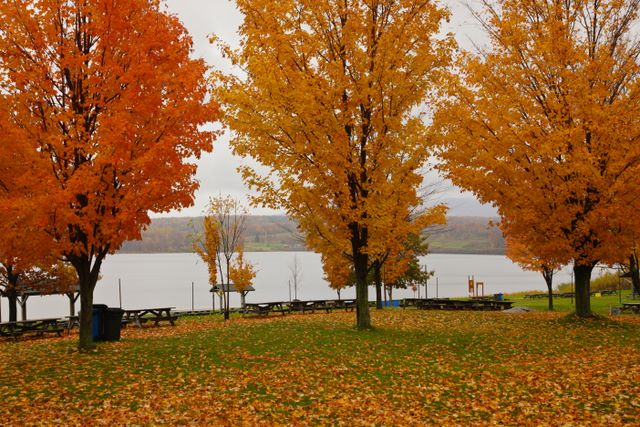 Fall Colors 