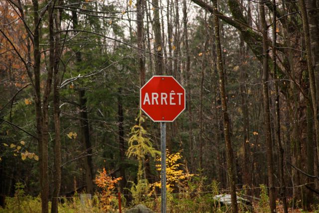 Stop Sign 