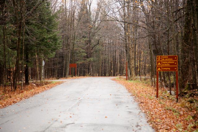 Park Entrance Road 