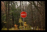 Stop Sign 