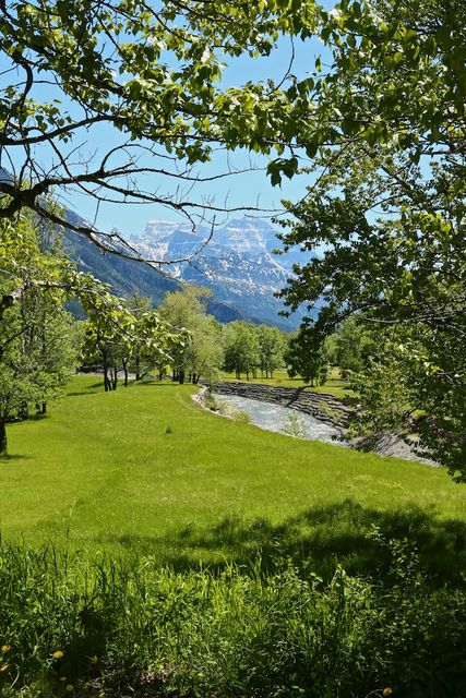 Waterton -- Cameron Falls River 