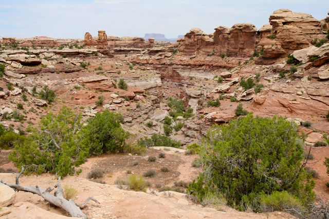 Deep in Canyonlands - Needles Area 