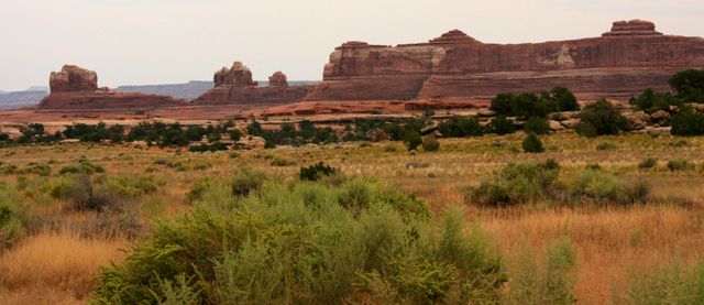 Canyonlands -- The Needles area 