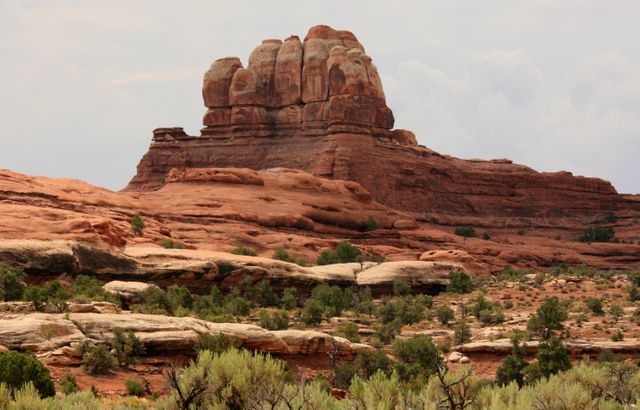 Canyonlands -- The Needles 