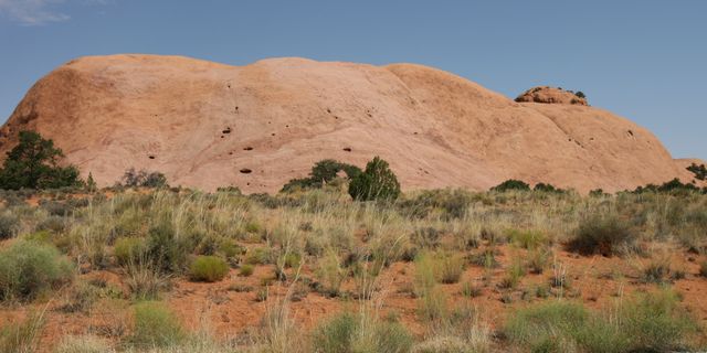 Canyonlands -- The Whale Rock 
