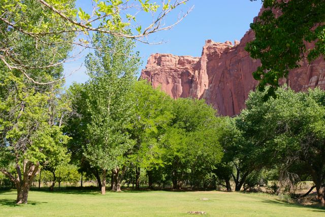 Capitol Reef NP -- Fruita Historic Area 