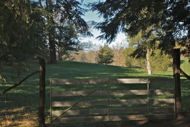 Pasture