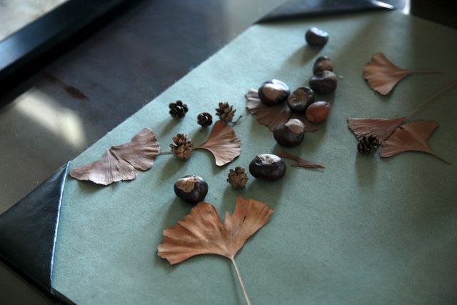 Some of Carl Sandburg's collections