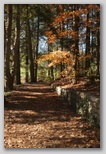 Trail to Sandburg's Home 