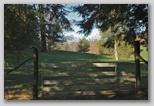 Pasture