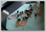 Some of Carl Sandburg's collections