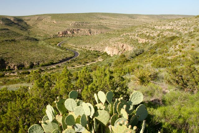 Road to Caverns - Guadalupe Mountains Desert