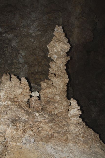 A growing stalactite 