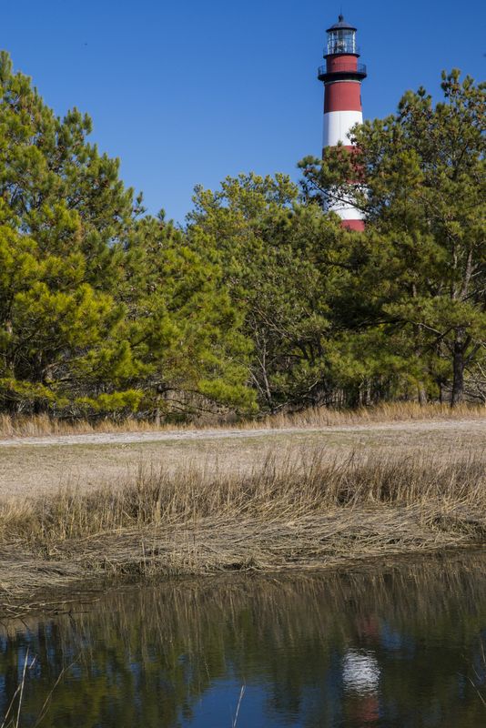 Chincoteague Lighthouse 