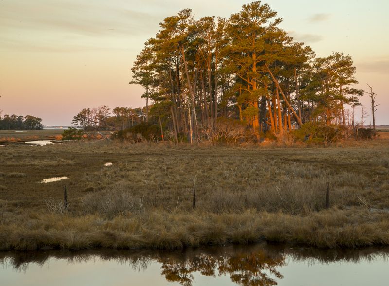Sunrise on Beach Access Road 
