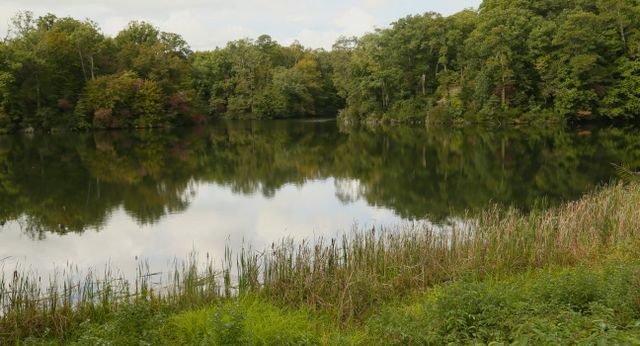 Colonial Parkway -- Jones Millpond
