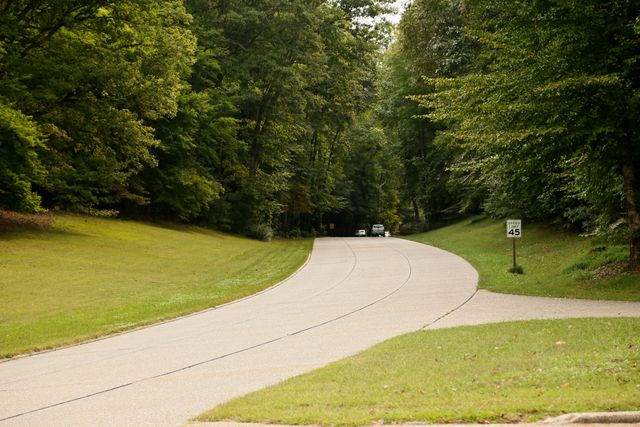 Great Oaks area on the Colonial Parkway 