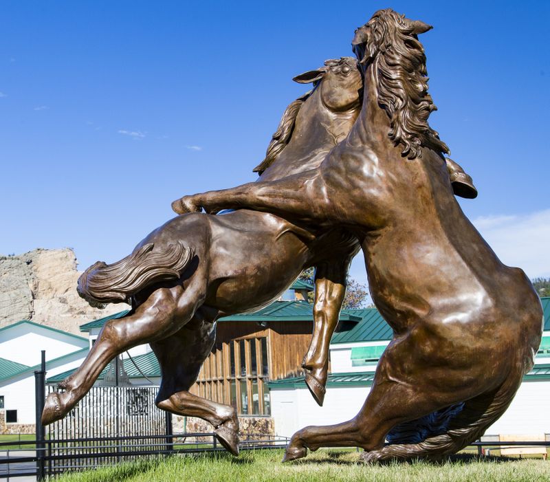 Fighting Stallions 