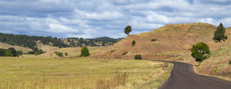 Traveling down Wildlife Loop Road 