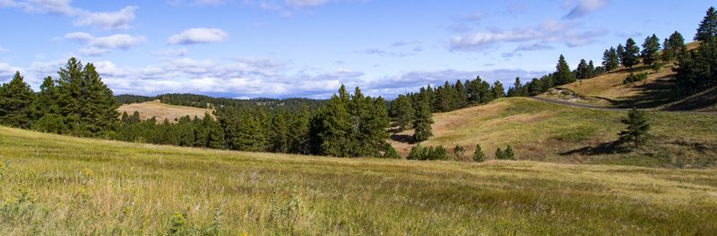 Scenic view from Loop Road 