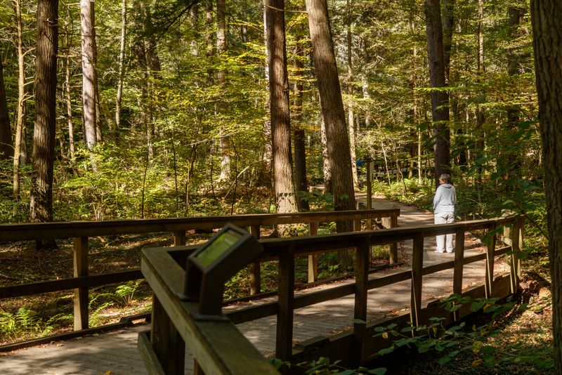 George W. Childs Recreation area trail 