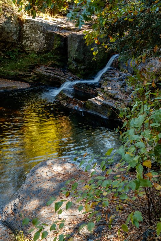 Cory Falls 
