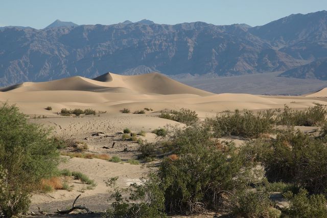 Mesquite Flat Sand Dunes 