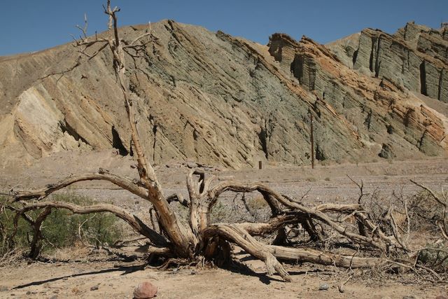 Furnace Creek area 