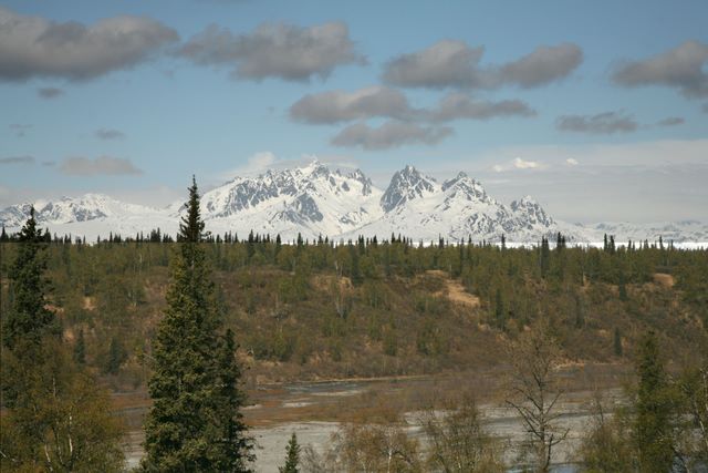 Mt. McKinley 