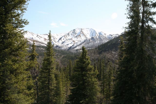 Mt. McKinley 