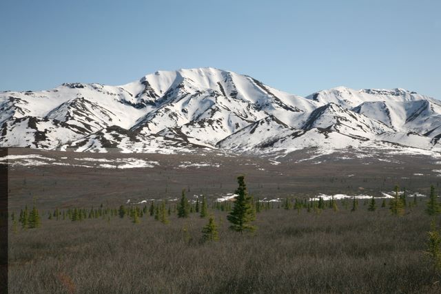 Mt. Margaret 