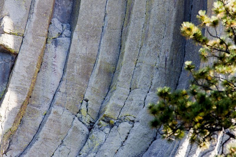 Rock Face