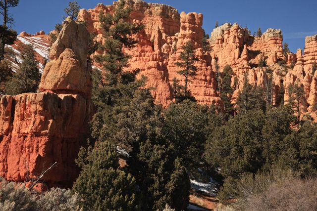 Dixie National Forest - Red Canyon 