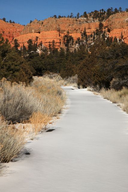 Dixie National Forest - Snowy trail 