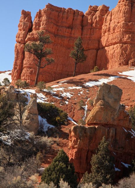 Dixie National Forest - Red Canyon 
