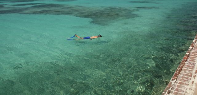 Dry Tortugas - Snorkeling area