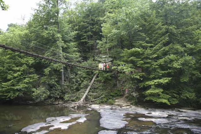 Bridge over Falls Creek Falls 