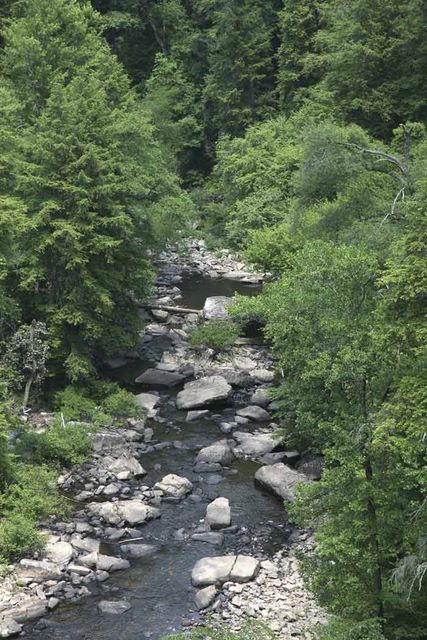 Creek
