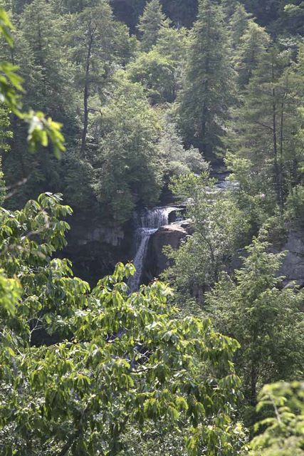 Falls