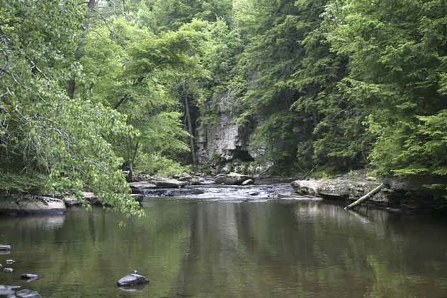 Pool below Falls 