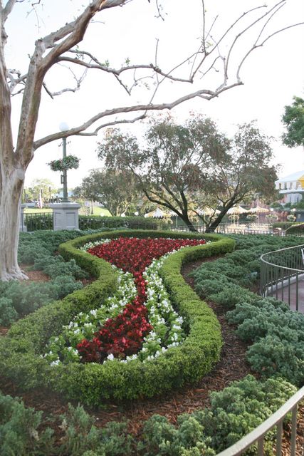 Flowers at Disney World -FL