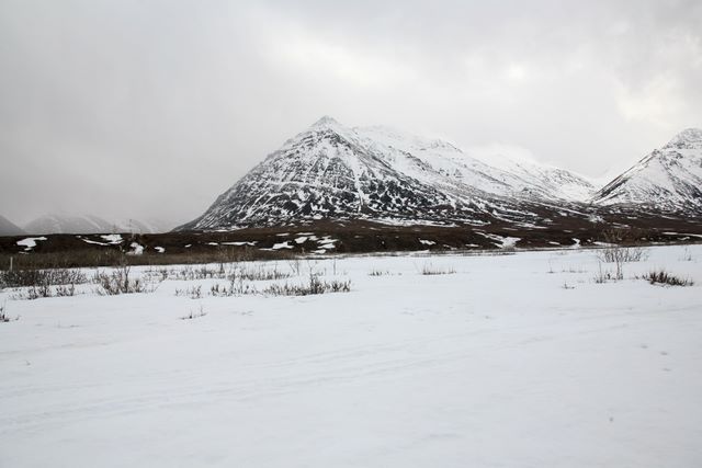 Snow covered Park