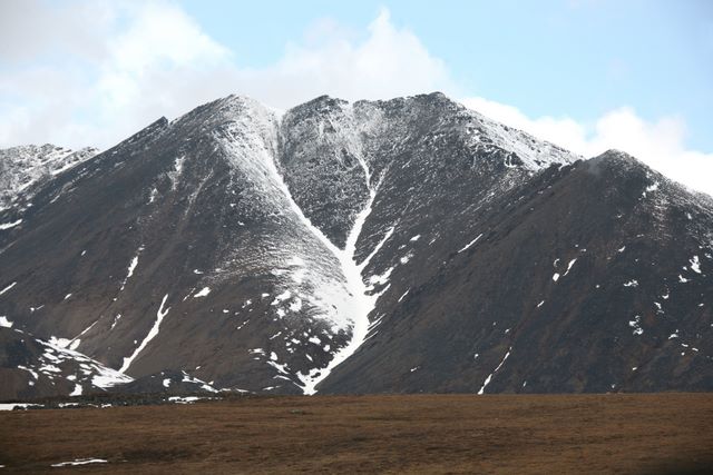 Tundra