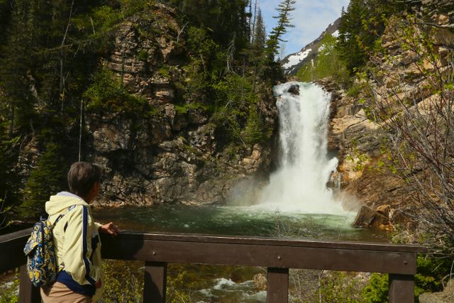 Running Eagle Falls 