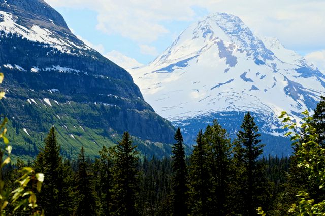 Glacier -- Jackson Glacier 