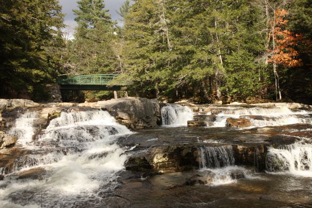 Falls 