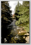 View down stream from bridge 