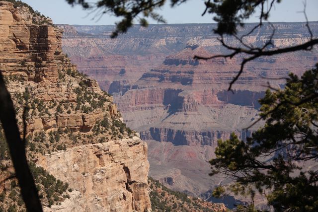 Canyon view 
